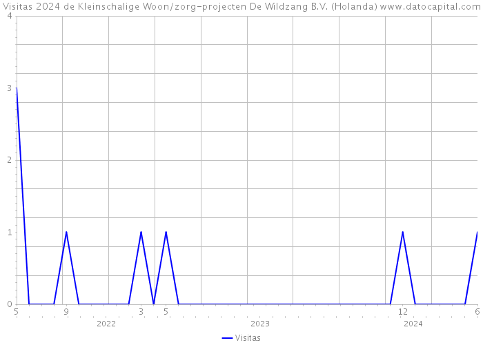 Visitas 2024 de Kleinschalige Woon/zorg-projecten De Wildzang B.V. (Holanda) 