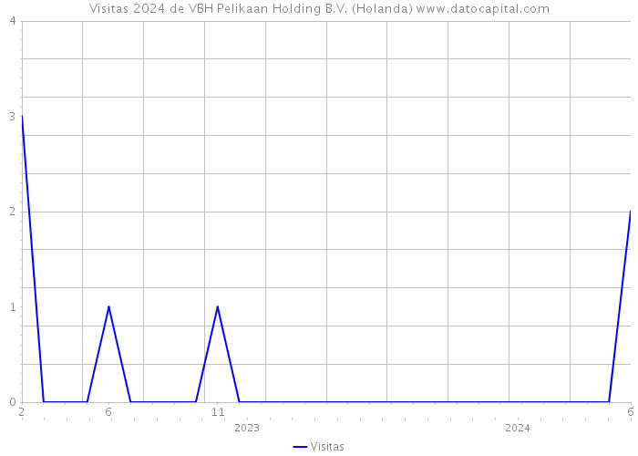 Visitas 2024 de VBH Pelikaan Holding B.V. (Holanda) 