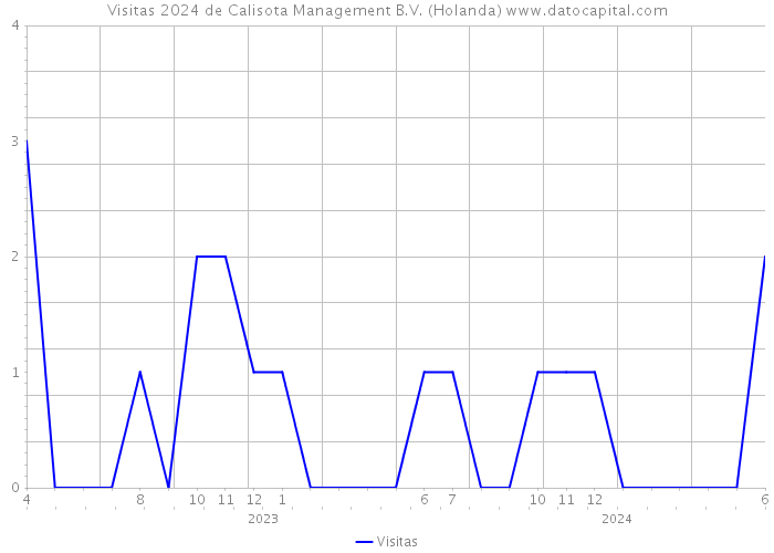 Visitas 2024 de Calisota Management B.V. (Holanda) 