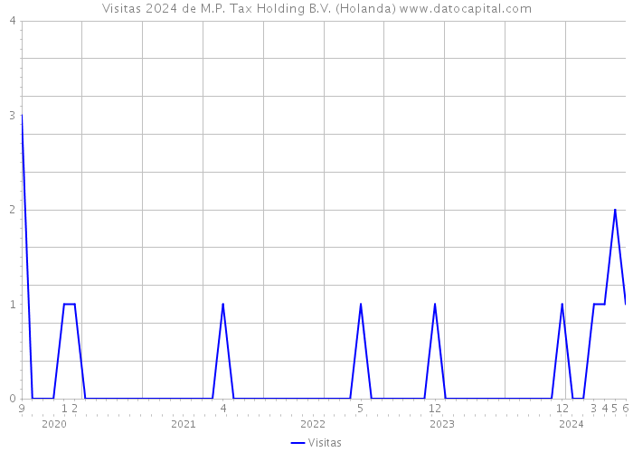 Visitas 2024 de M.P. Tax Holding B.V. (Holanda) 