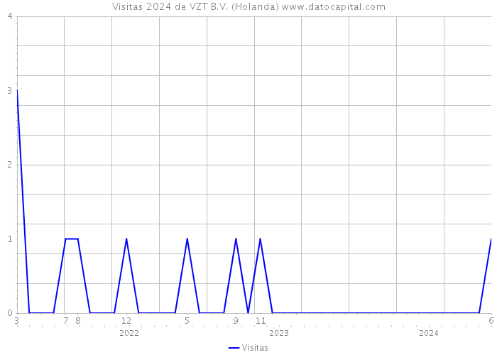 Visitas 2024 de VZT B.V. (Holanda) 