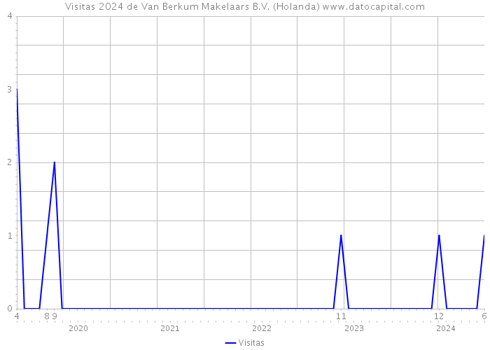 Visitas 2024 de Van Berkum Makelaars B.V. (Holanda) 