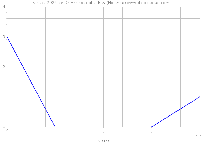 Visitas 2024 de De Verfspecialist B.V. (Holanda) 