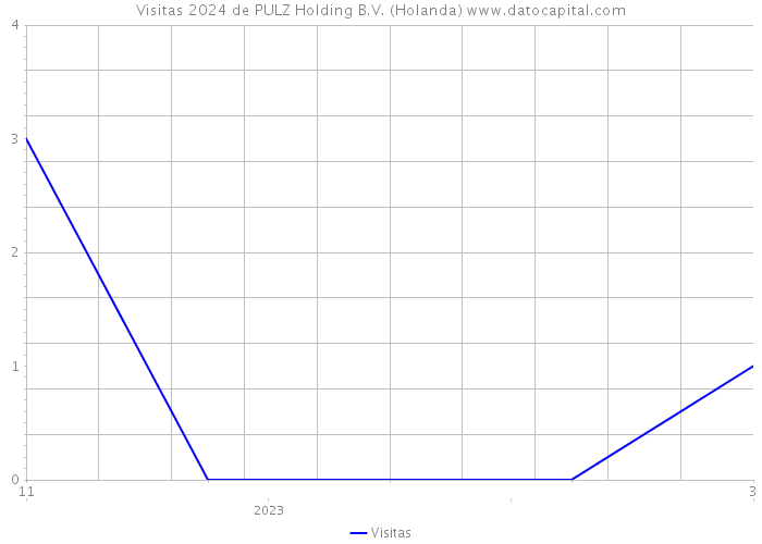 Visitas 2024 de PULZ Holding B.V. (Holanda) 