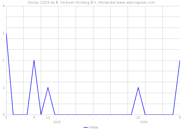 Visitas 2024 de B. Verbeek Holding B.V. (Holanda) 
