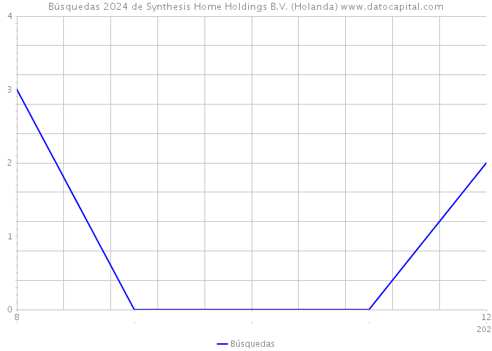 Búsquedas 2024 de Synthesis Home Holdings B.V. (Holanda) 