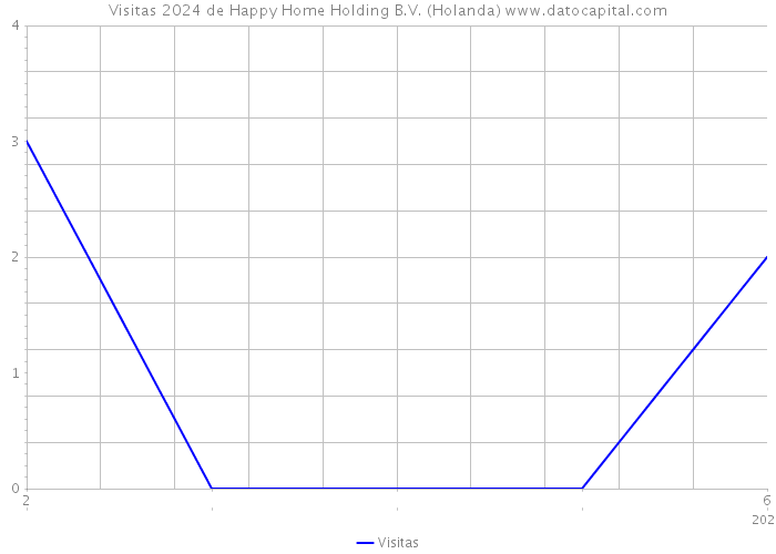 Visitas 2024 de Happy Home Holding B.V. (Holanda) 