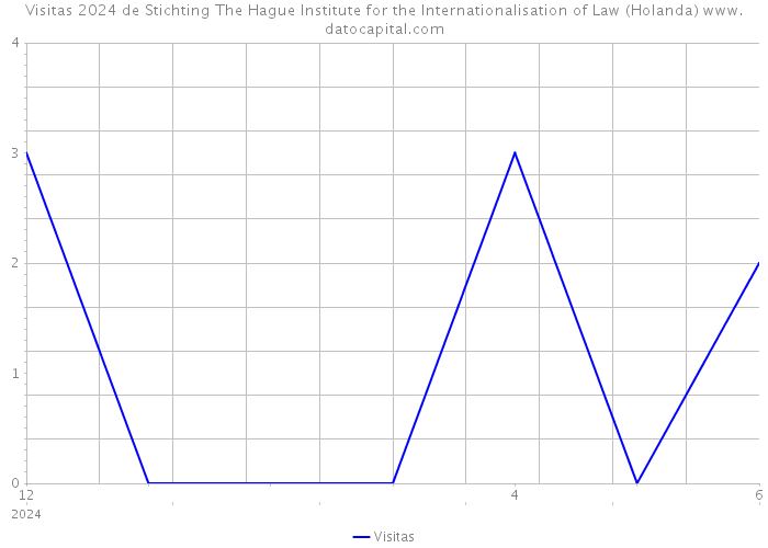 Visitas 2024 de Stichting The Hague Institute for the Internationalisation of Law (Holanda) 