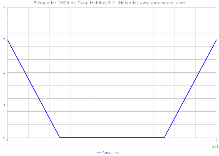 Búsquedas 2024 de Ziyou Holding B.V. (Holanda) 