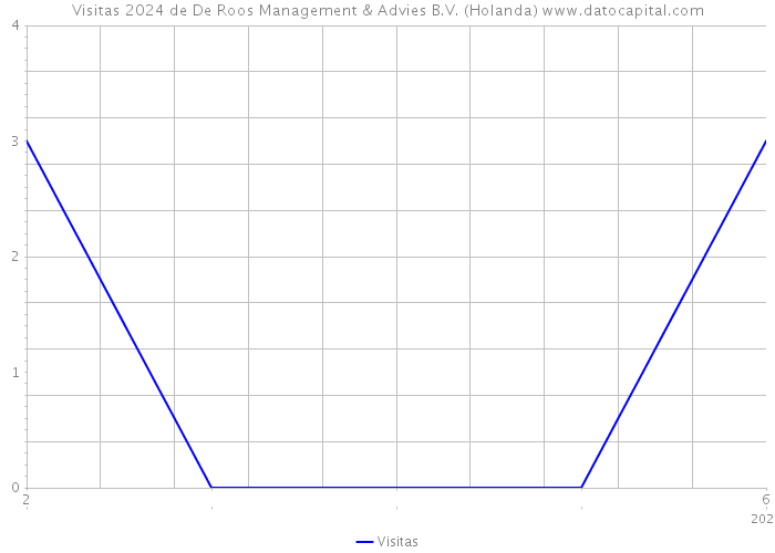 Visitas 2024 de De Roos Management & Advies B.V. (Holanda) 