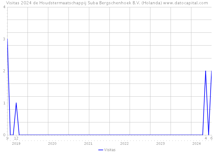 Visitas 2024 de Houdstermaatschappij Suba Bergschenhoek B.V. (Holanda) 