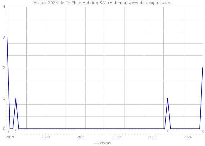 Visitas 2024 de Te Plate Holding B.V. (Holanda) 