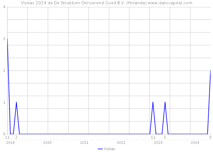 Visitas 2024 de De Strubben Onroerend Goed B.V. (Holanda) 