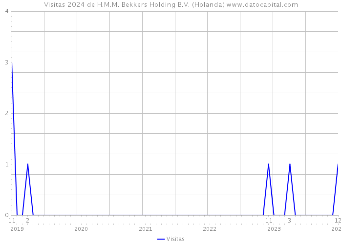 Visitas 2024 de H.M.M. Bekkers Holding B.V. (Holanda) 
