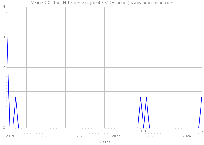 Visitas 2024 de H. Kroon Vastgoed B.V. (Holanda) 