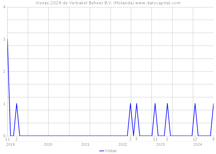 Visitas 2024 de Verbakel Beheer B.V. (Holanda) 