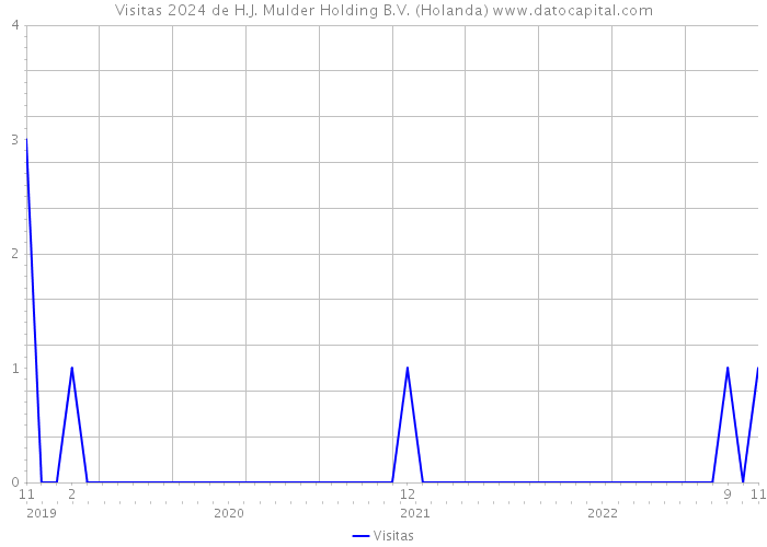 Visitas 2024 de H.J. Mulder Holding B.V. (Holanda) 