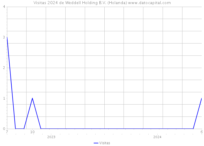 Visitas 2024 de Weddell Holding B.V. (Holanda) 