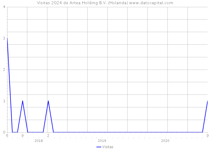 Visitas 2024 de Artea Holding B.V. (Holanda) 