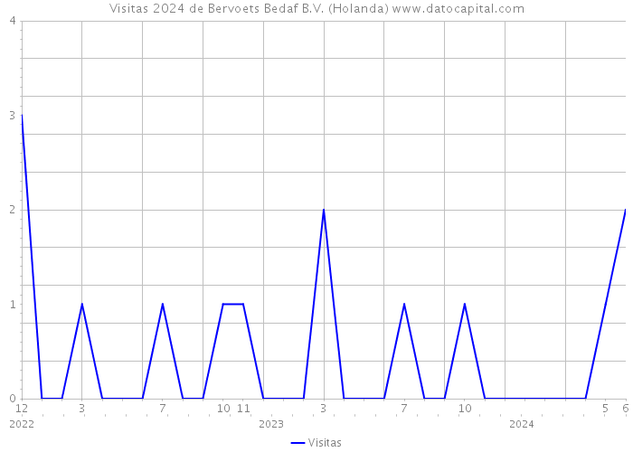 Visitas 2024 de Bervoets Bedaf B.V. (Holanda) 