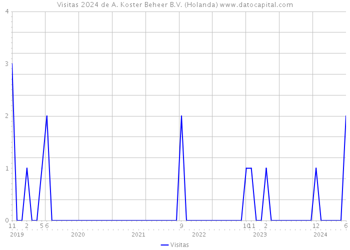 Visitas 2024 de A. Koster Beheer B.V. (Holanda) 