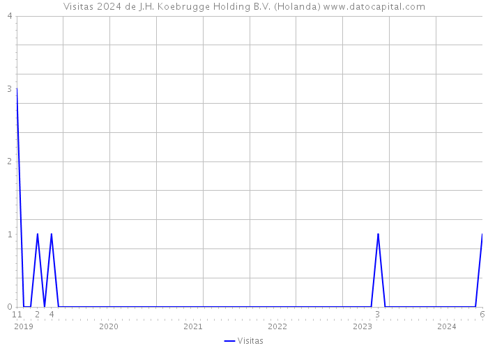 Visitas 2024 de J.H. Koebrugge Holding B.V. (Holanda) 