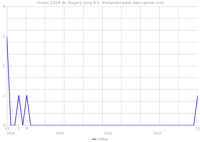 Visitas 2024 de Slagerij Jong B.V. (Holanda) 