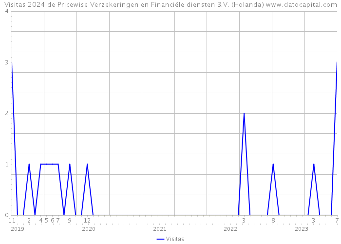 Visitas 2024 de Pricewise Verzekeringen en Financiële diensten B.V. (Holanda) 