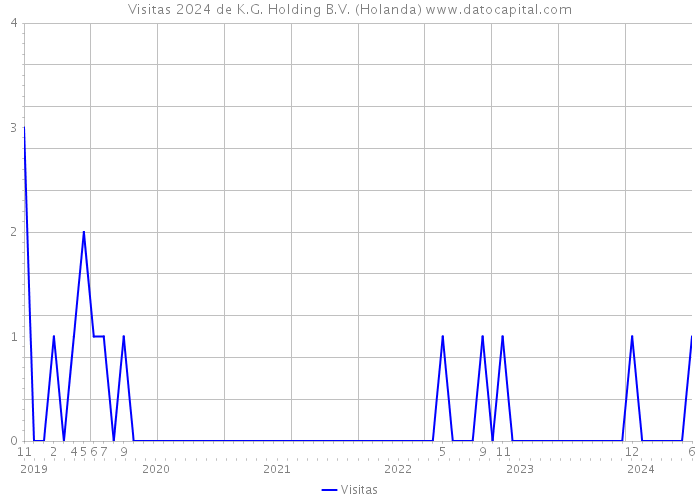 Visitas 2024 de K.G. Holding B.V. (Holanda) 