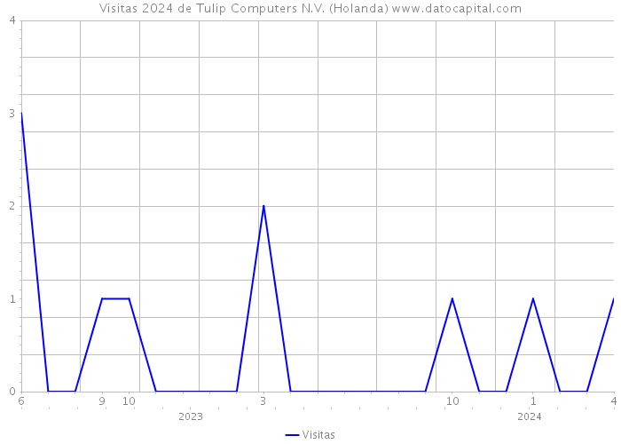 Visitas 2024 de Tulip Computers N.V. (Holanda) 