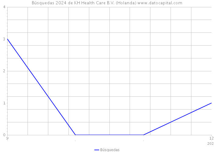 Búsquedas 2024 de KH Health Care B.V. (Holanda) 