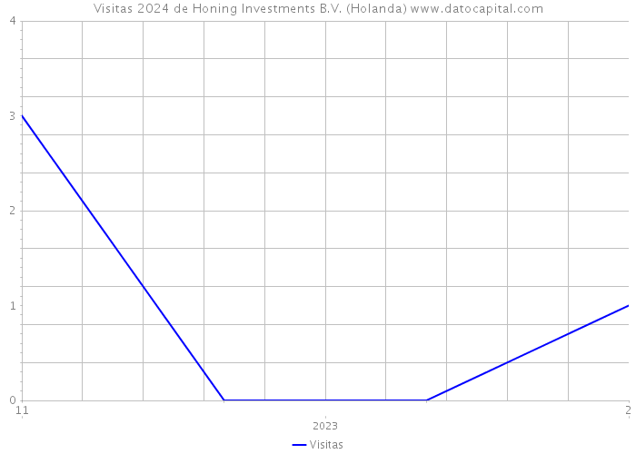 Visitas 2024 de Honing Investments B.V. (Holanda) 