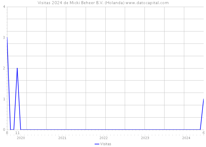 Visitas 2024 de Micki Beheer B.V. (Holanda) 