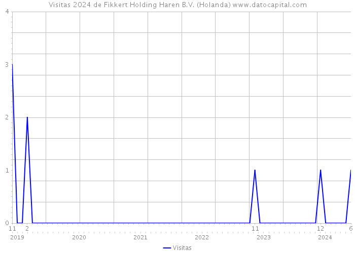 Visitas 2024 de Fikkert Holding Haren B.V. (Holanda) 