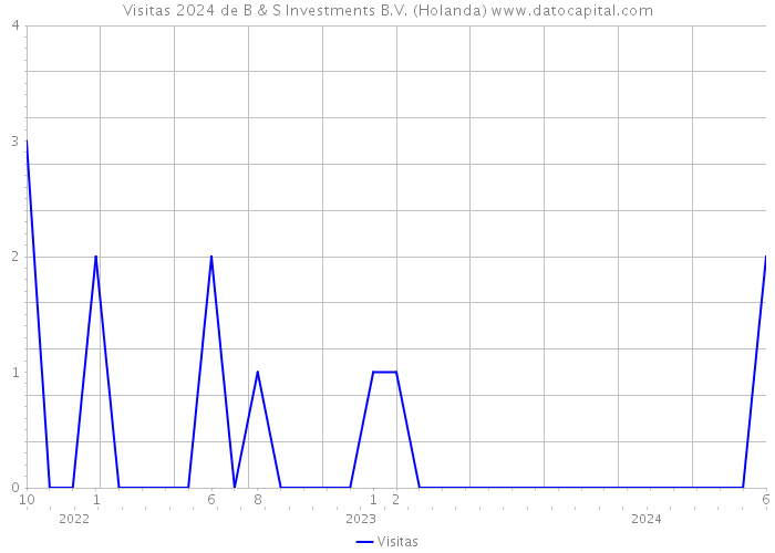 Visitas 2024 de B & S Investments B.V. (Holanda) 