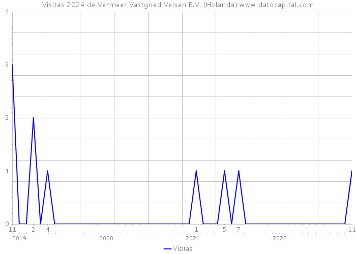 Visitas 2024 de Vermeer Vastgoed Velsen B.V. (Holanda) 
