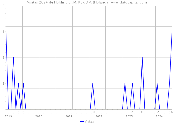 Visitas 2024 de Holding L.J.M. Kok B.V. (Holanda) 