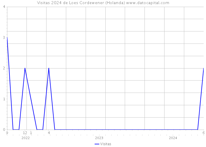 Visitas 2024 de Loes Cordewener (Holanda) 