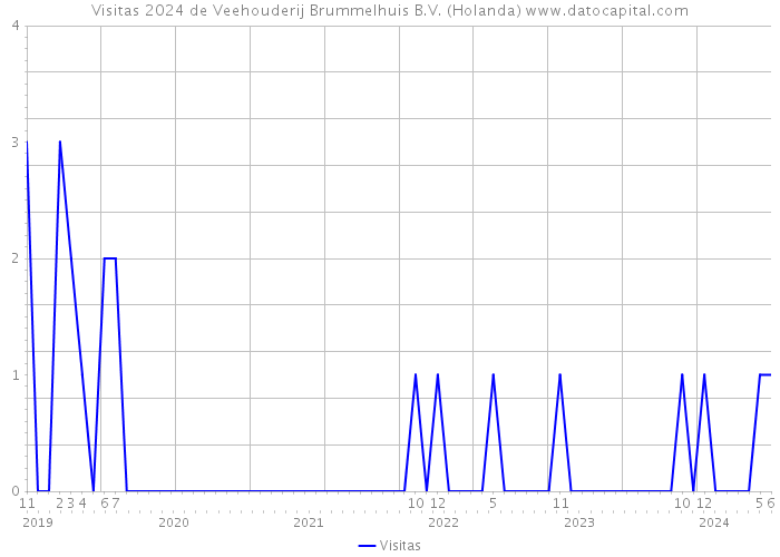 Visitas 2024 de Veehouderij Brummelhuis B.V. (Holanda) 