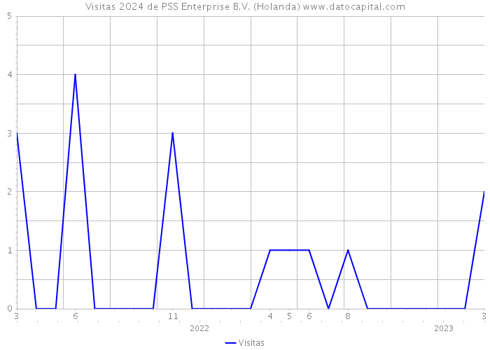 Visitas 2024 de PSS Enterprise B.V. (Holanda) 