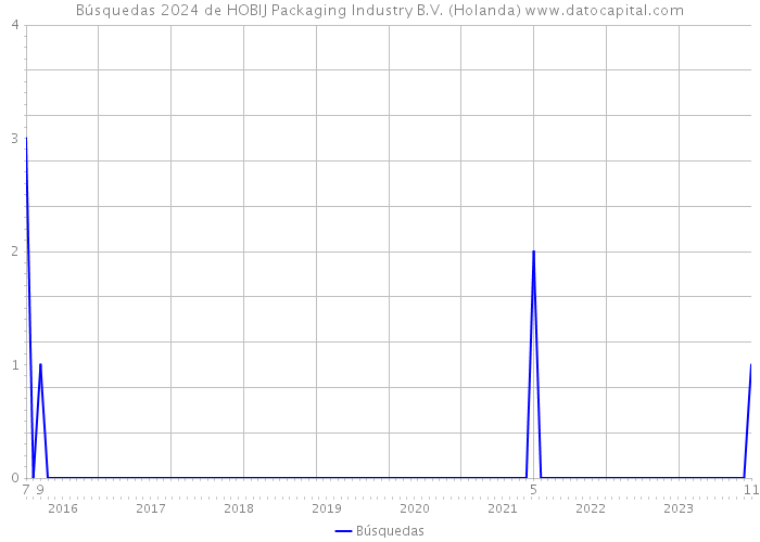 Búsquedas 2024 de HOBIJ Packaging Industry B.V. (Holanda) 