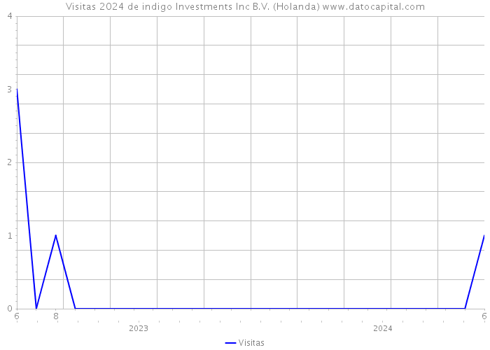 Visitas 2024 de indigo Investments Inc B.V. (Holanda) 