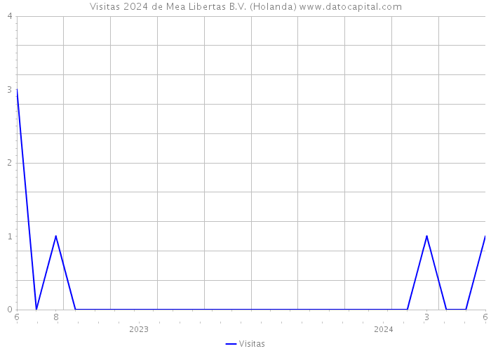 Visitas 2024 de Mea Libertas B.V. (Holanda) 