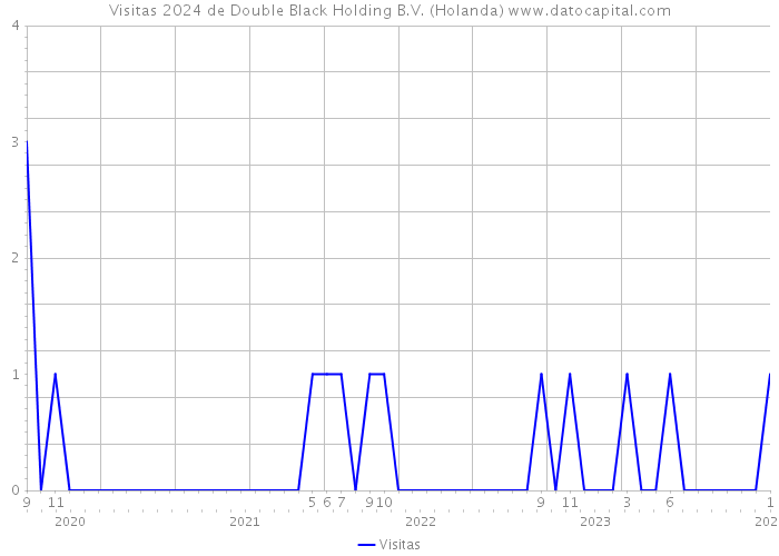 Visitas 2024 de Double Black Holding B.V. (Holanda) 