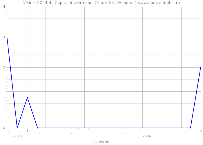 Visitas 2024 de Capital Investments Group B.V. (Holanda) 