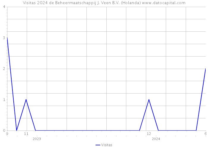 Visitas 2024 de Beheermaatschappij J. Veen B.V. (Holanda) 