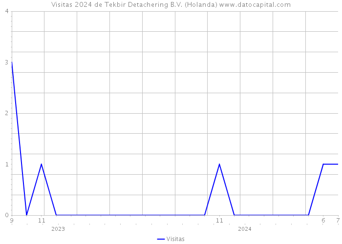 Visitas 2024 de Tekbir Detachering B.V. (Holanda) 