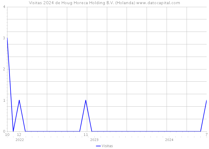 Visitas 2024 de Houg Horeca Holding B.V. (Holanda) 