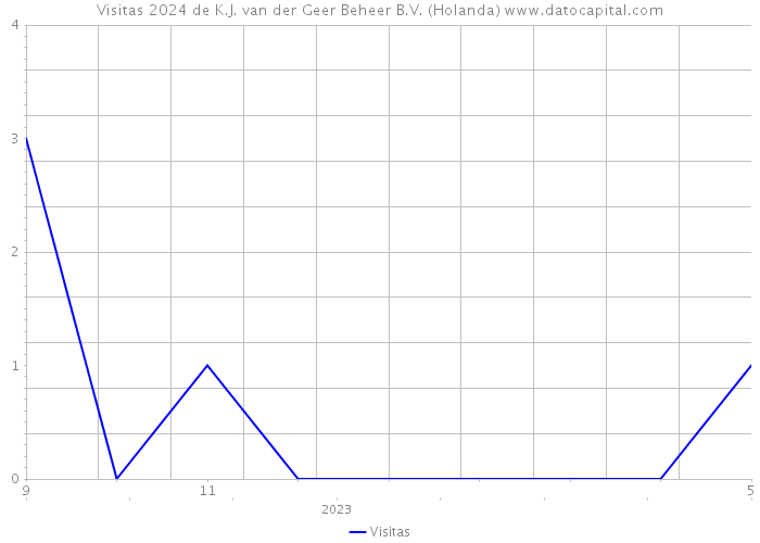 Visitas 2024 de K.J. van der Geer Beheer B.V. (Holanda) 