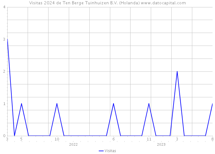 Visitas 2024 de Ten Berge Tuinhuizen B.V. (Holanda) 